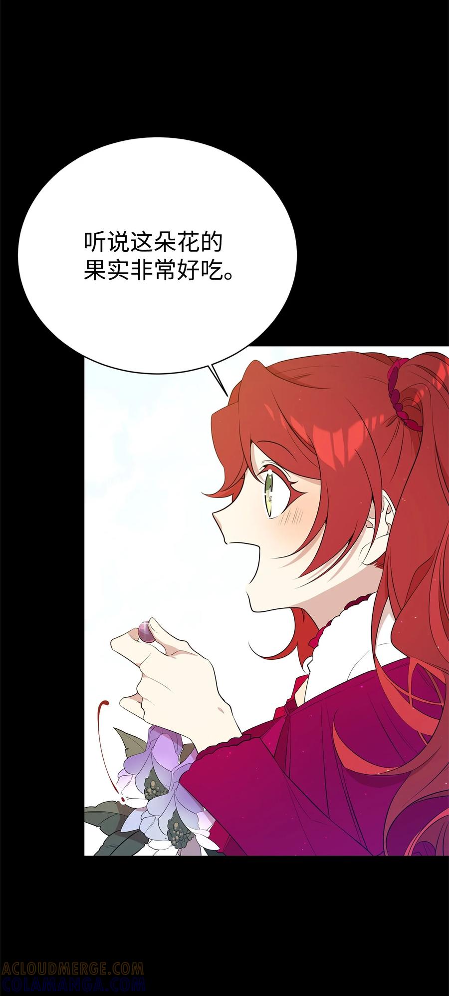 《虽然是魂穿游戏世界里女主的姐粉》08 魔法师 第4页