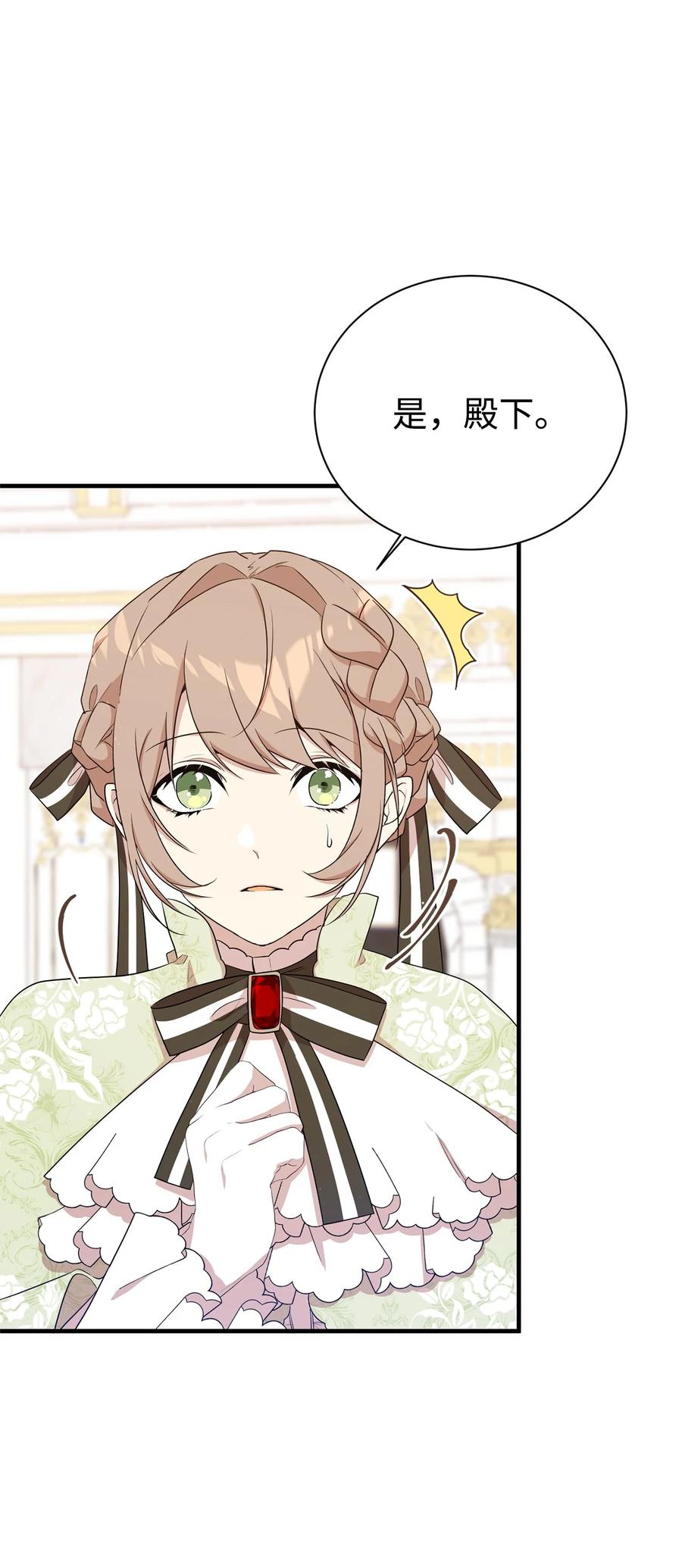 《虽然是魂穿游戏世界里女主的姐粉》08 魔法师 第65页