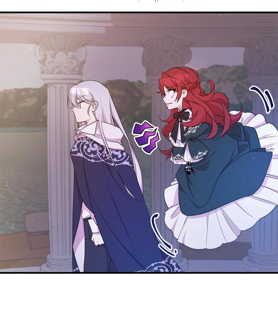 《虽然是魂穿游戏世界里女主的姐粉》08 魔法师 第75页
