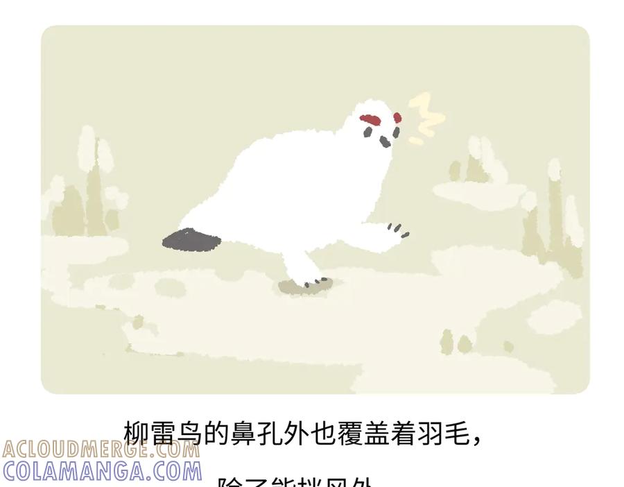 《胖达x胖达》第282话 第29页