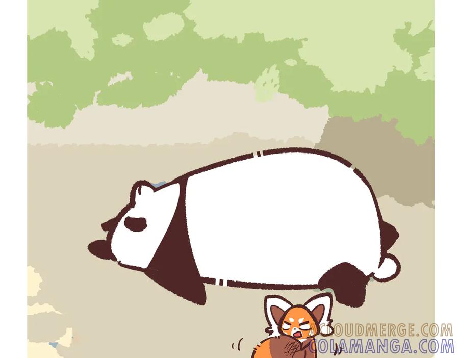 《胖达x胖达》第282话 第5页