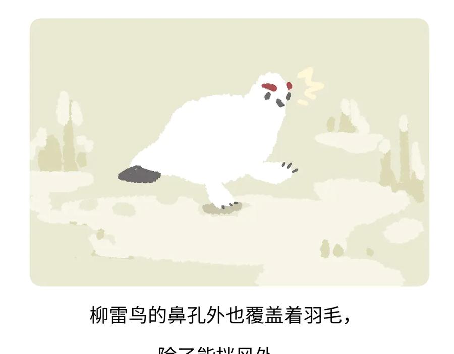 《胖达x胖达》第282话 第32页