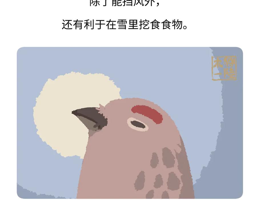 《胖达x胖达》第282话 第30页