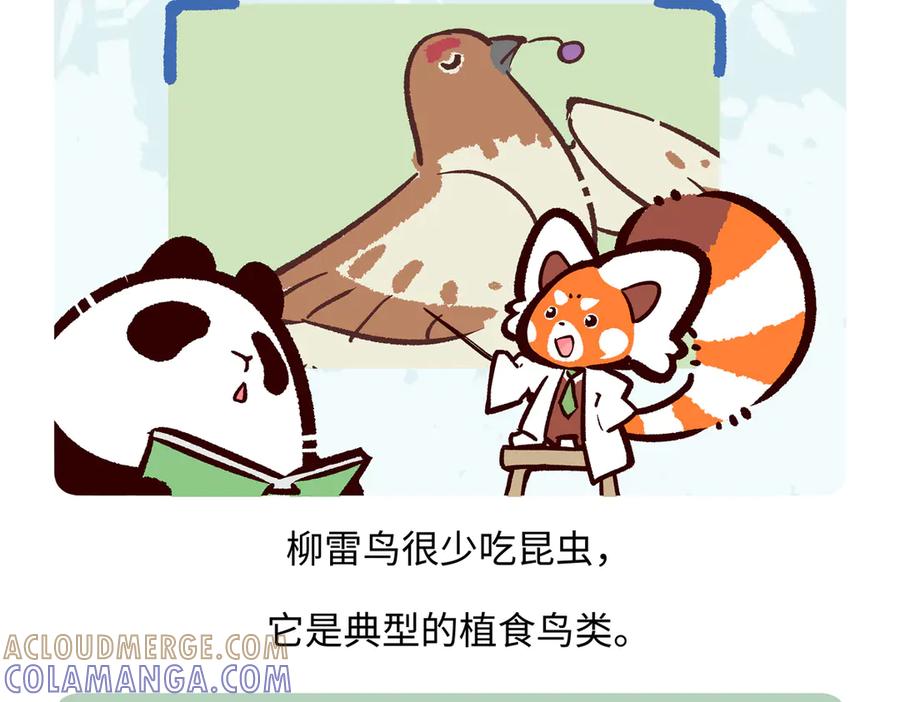 《胖达x胖达》第282话 第19页