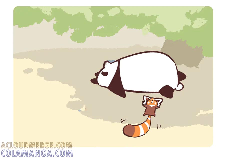 《胖达x胖达》第282话 第3页