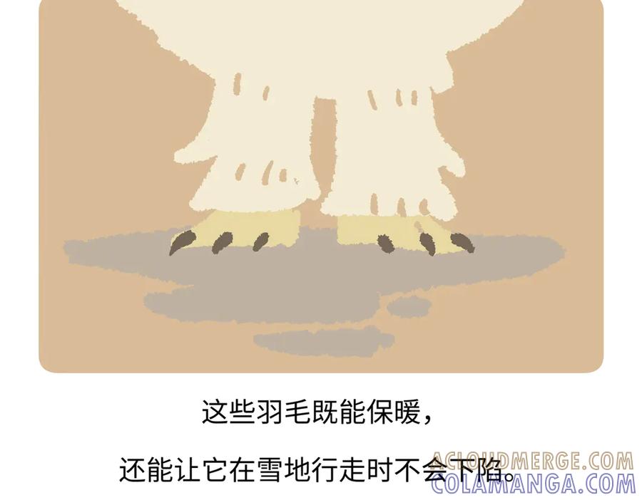 《胖达x胖达》第282话 第27页