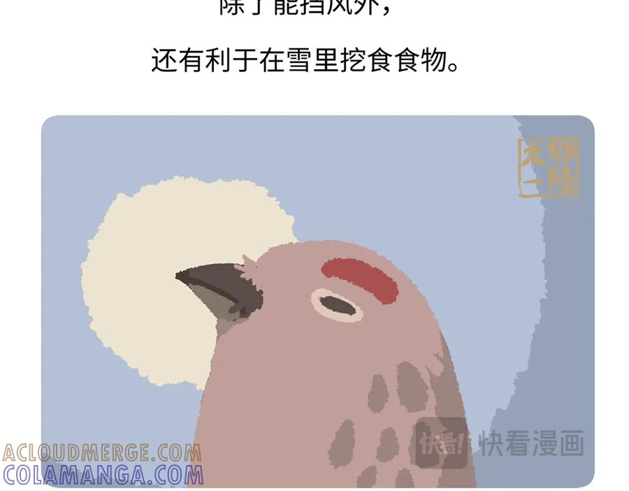 《胖达x胖达》第282话 第33页