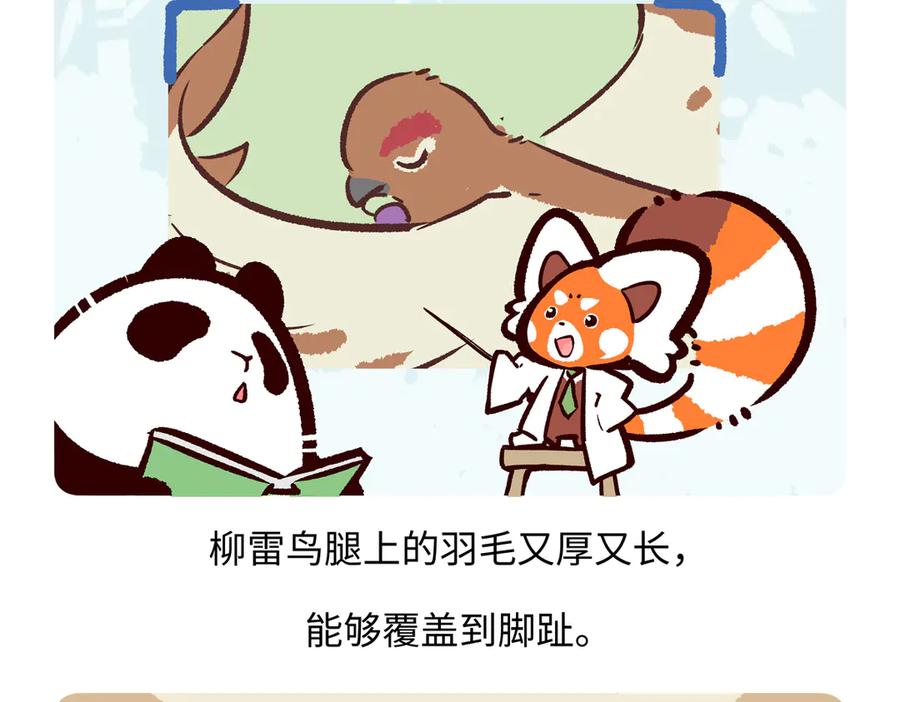 《胖达x胖达》第282话 第26页