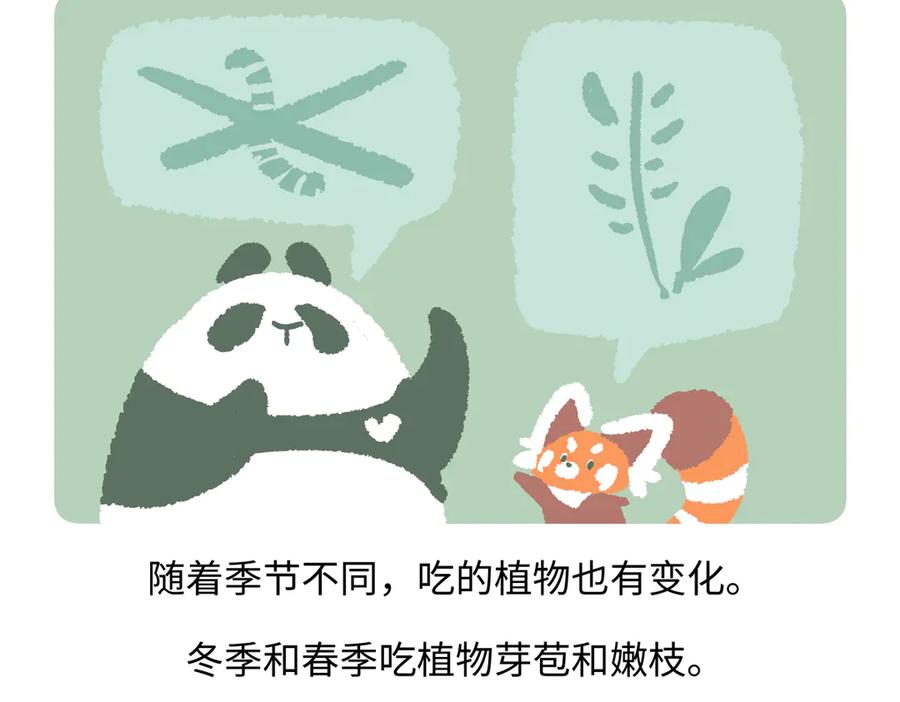 《胖达x胖达》第282话 第20页