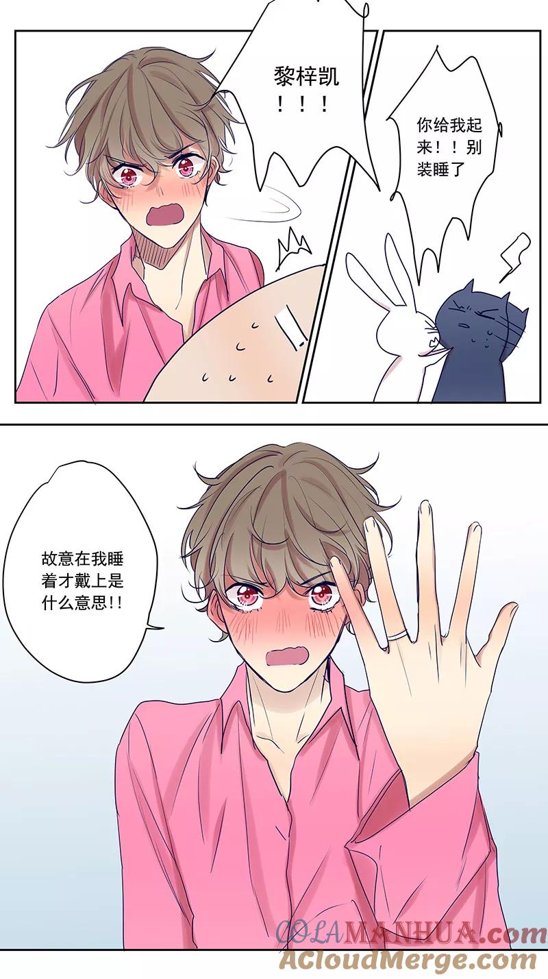 讨厌你喜欢你 - 戒指 - 第2张图