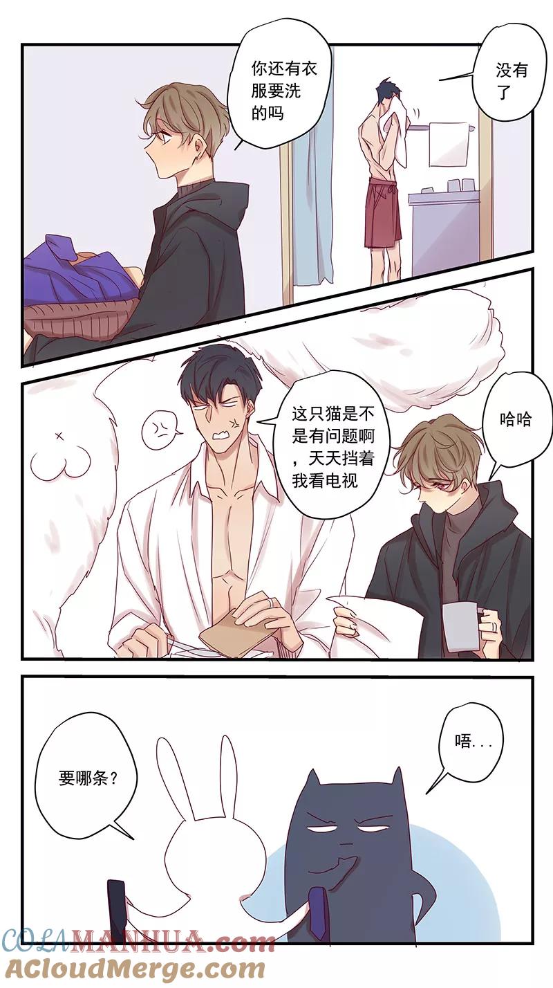 讨厌你喜欢你 - 幸福的开始 - 第13张图