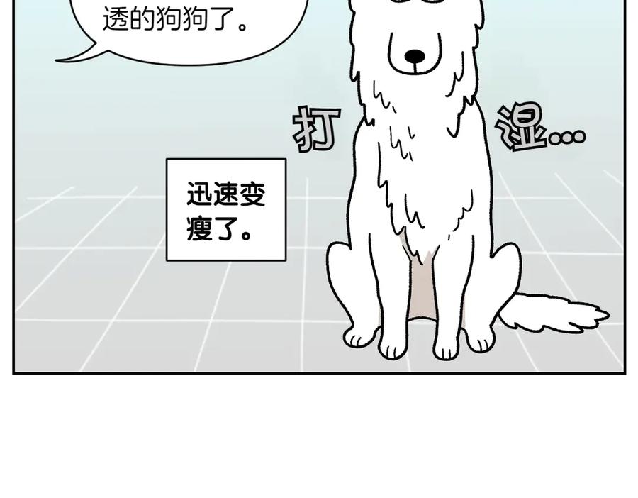 《我的狗子叫棉花》第48话 洗澡 第9页