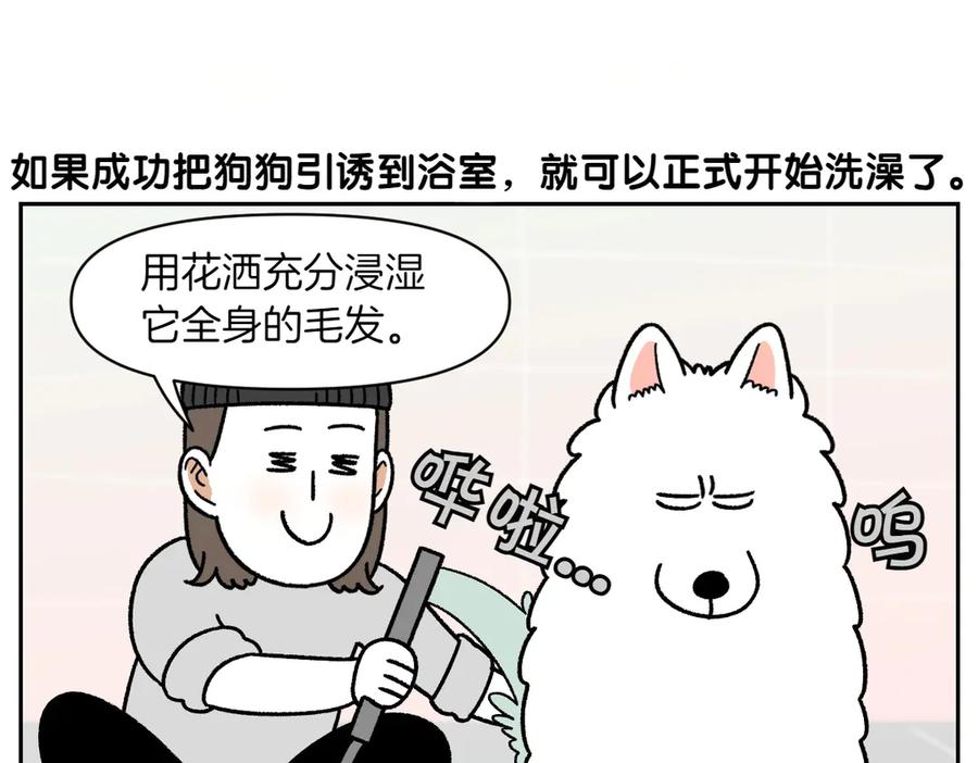 《我的狗子叫棉花》第48话 洗澡 第5页