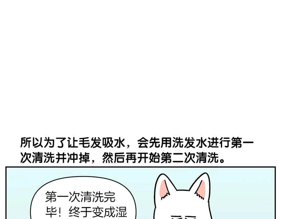 《我的狗子叫棉花》第48话 洗澡 第8页