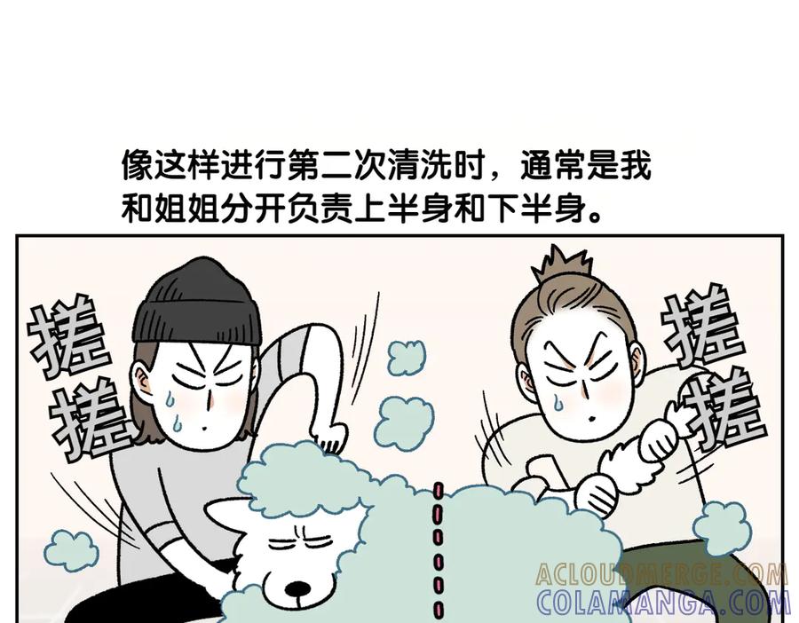 《我的狗子叫棉花》第48话 洗澡 第13页