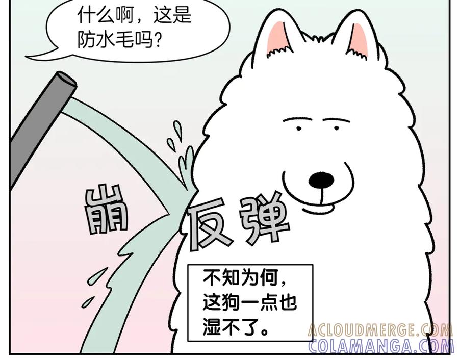 《我的狗子叫棉花》第48话 洗澡 第7页
