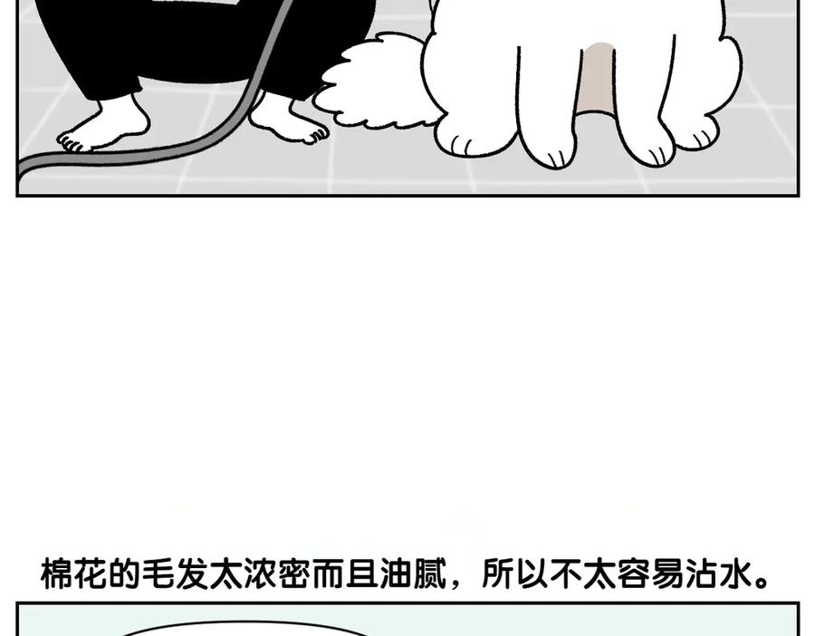 《我的狗子叫棉花》第48话 洗澡 第6页