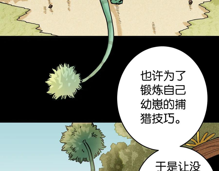《桃与末世之书》第144话 新黑崎八侍 第66页