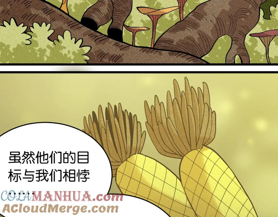 《桃与末世之书》第158话 行走的灾难 第13页