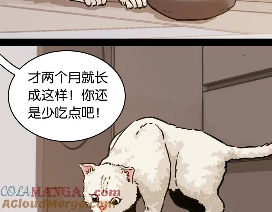 《桃与末世之书》第178话 大猫 第39页