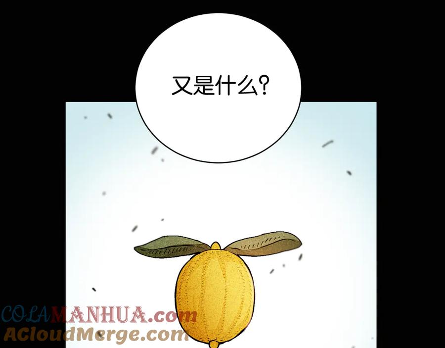 《桃与末世之书》第78话 鸣神月的植物庭院 第37页