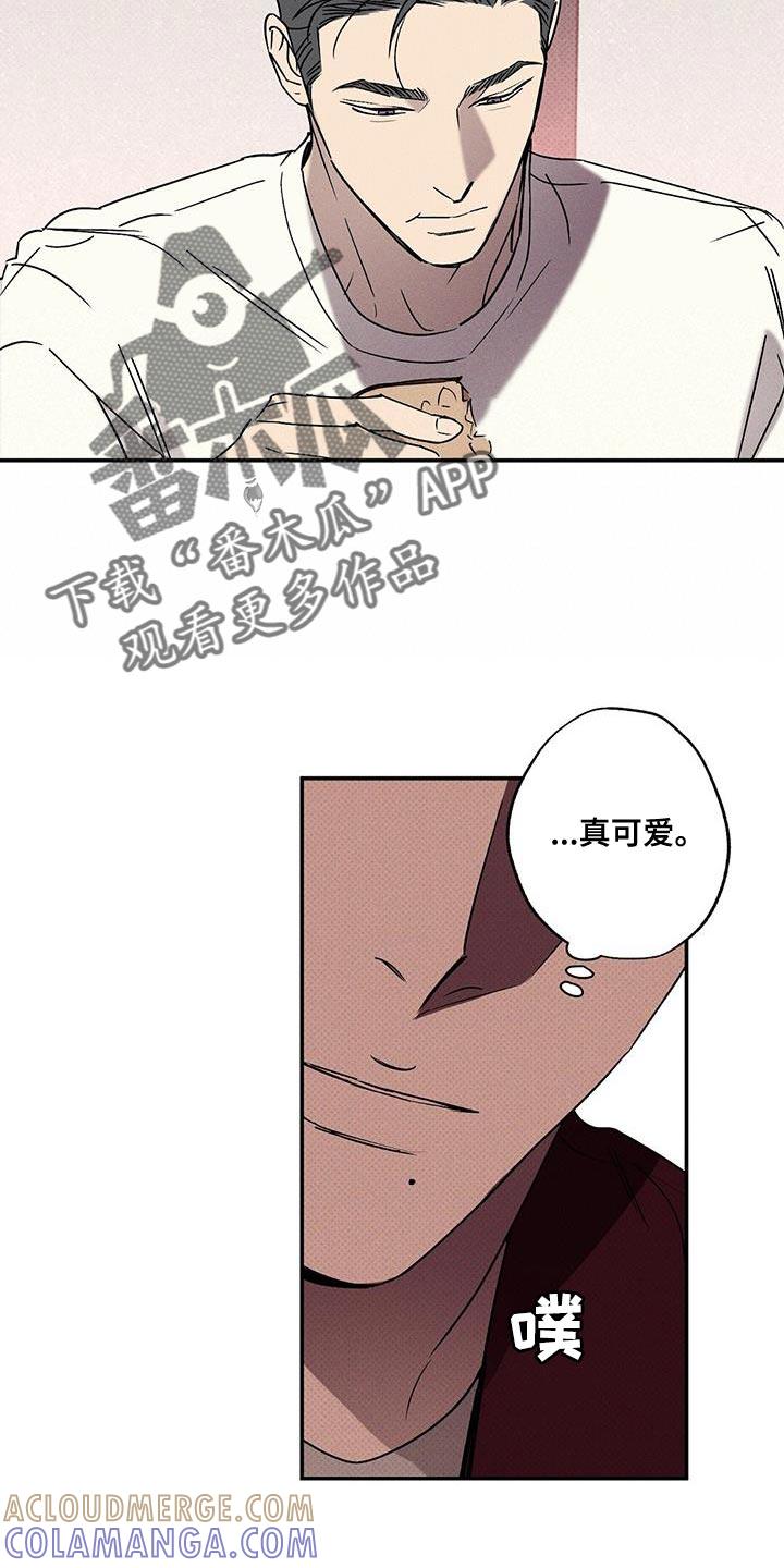 《狂沙肆虐》第62章：不要告诉他 第13页