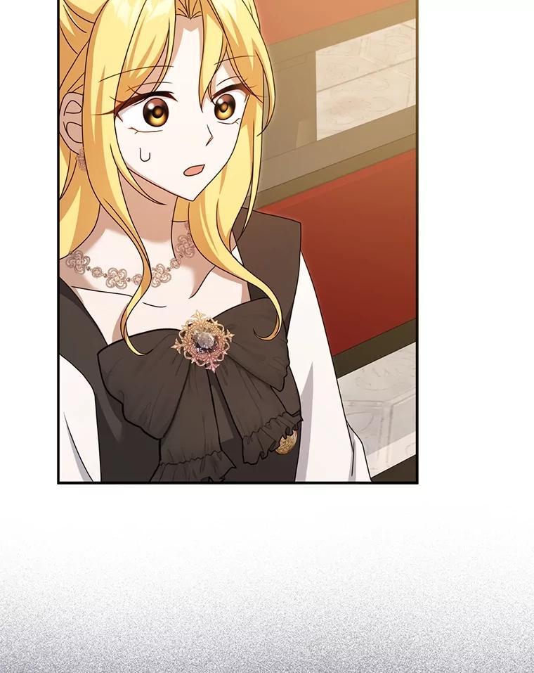 《消失的灰姑娘》42.二皇子的威胁 第83页