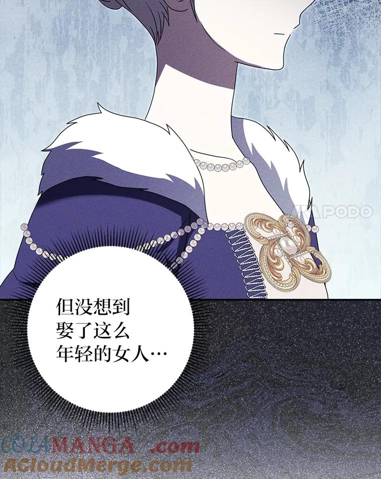《消失的灰姑娘》42.二皇子的威胁 第85页