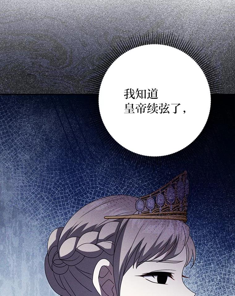 《消失的灰姑娘》42.二皇子的威胁 第84页
