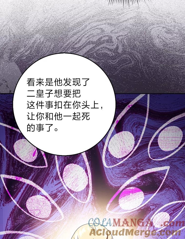 《消失的灰姑娘》42.二皇子的威胁 第61页