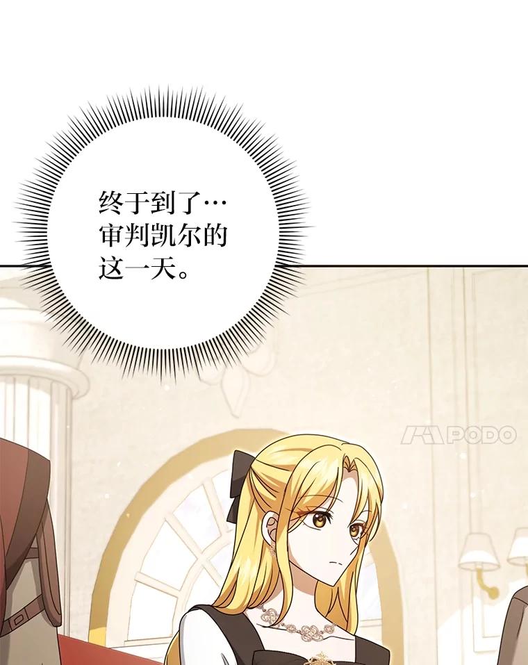 《消失的灰姑娘》42.二皇子的威胁 第78页