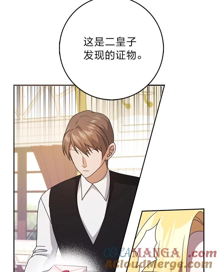 《消失的灰姑娘》42.二皇子的威胁 第121页