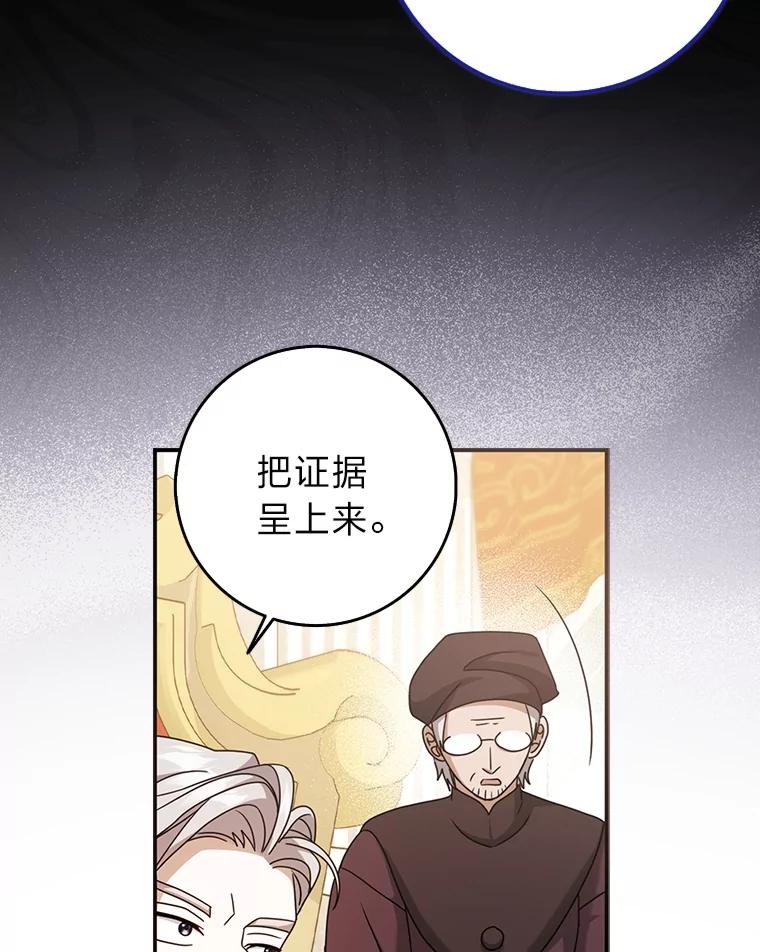 《消失的灰姑娘》42.二皇子的威胁 第119页