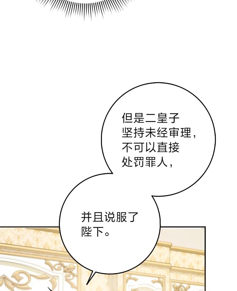 《消失的灰姑娘》42.二皇子的威胁 第66页