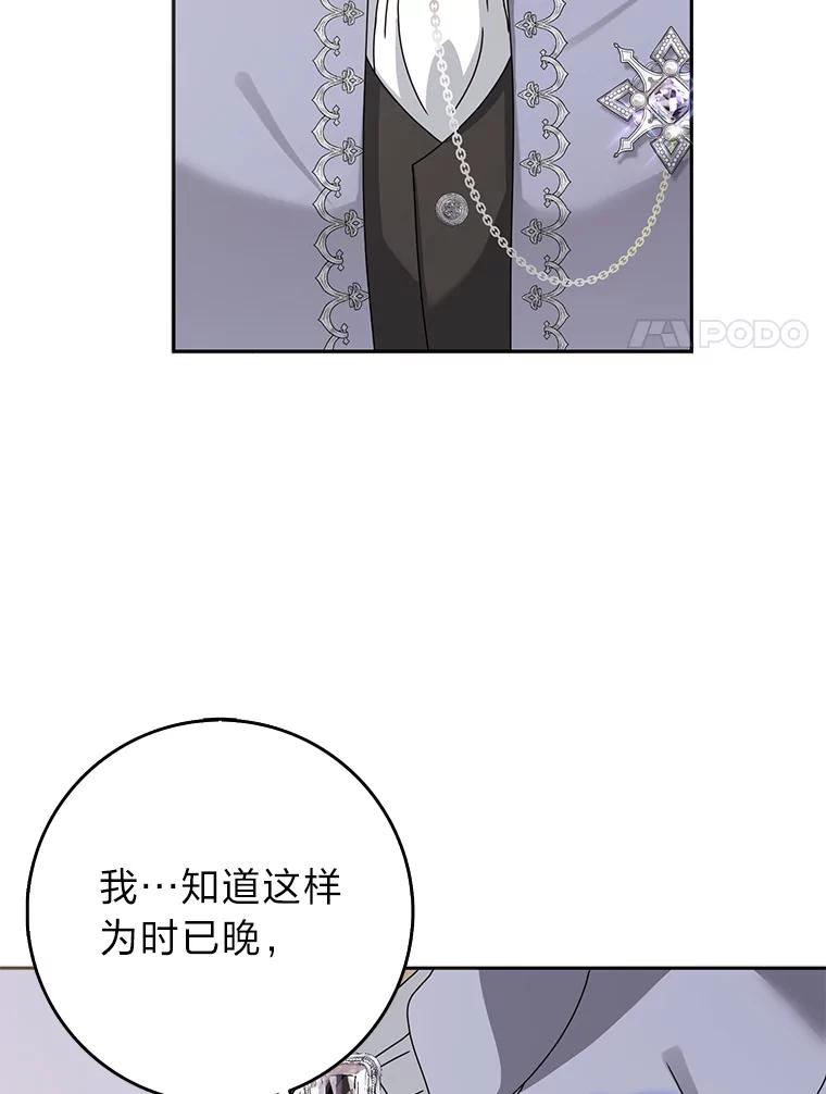 《消失的灰姑娘》43.结束的孽缘 第103页