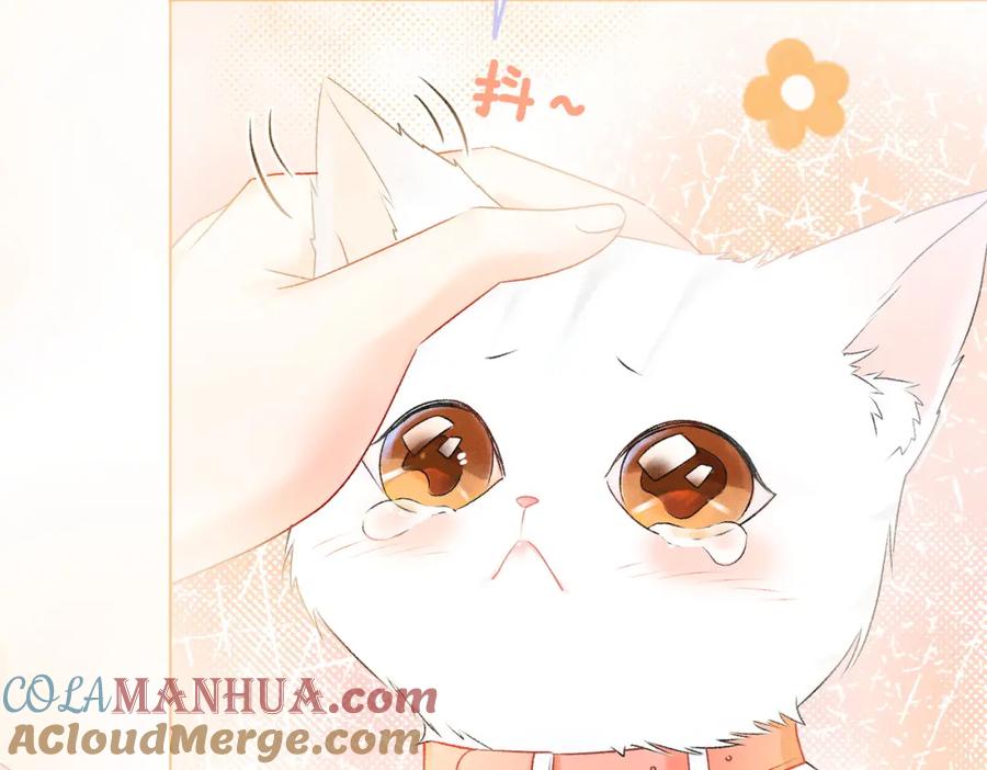 她又又又上热搜啦 第8话 影帝的千层套路 第9页