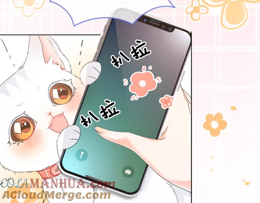 她又又又上热搜啦 第8话 影帝的千层套路 第49页