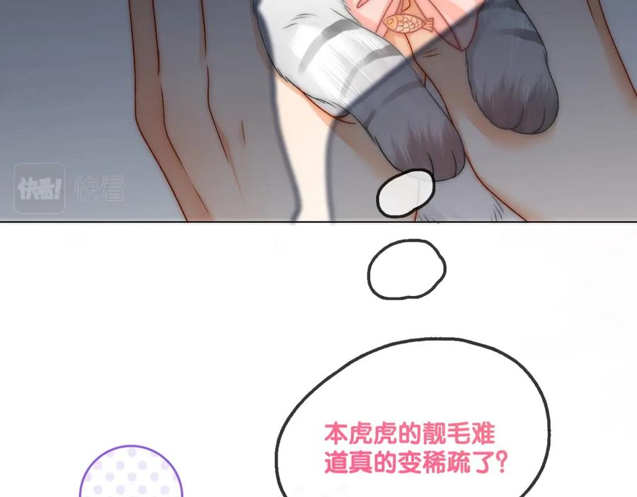 她又又又上热搜啦 第62话 兔兔护“夫” 第71页