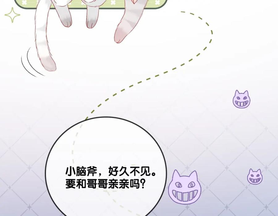 她又又又上热搜啦 第62话 兔兔护“夫” 第62页