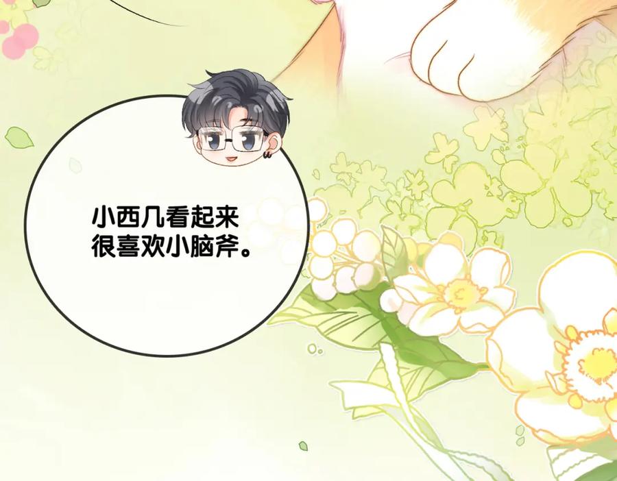 她又又又上热搜啦 第62话 兔兔护“夫” 第114页