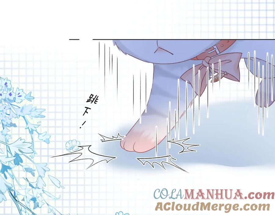 她又又又上热搜啦 第62话 兔兔护“夫” 第57页