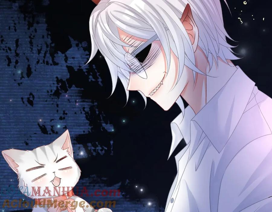 她又又又上热搜啦 第63话 猫狗双全 第49页