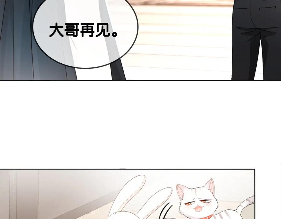 她又又又上热搜啦 第63话 猫狗双全 第34页