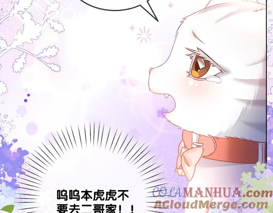 她又又又上热搜啦 第63话 猫狗双全 第53页