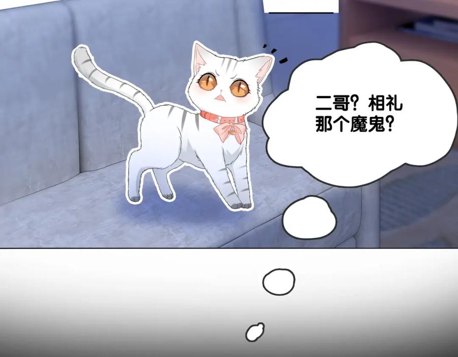 她又又又上热搜啦 第63话 猫狗双全 第46页