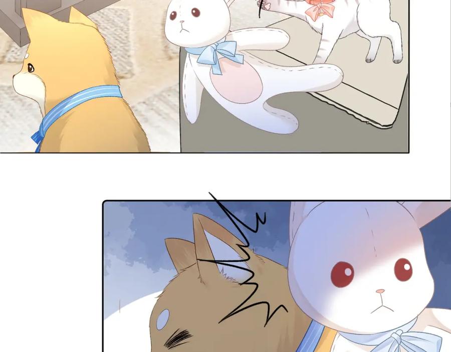 她又又又上热搜啦 第63话 猫狗双全 第35页