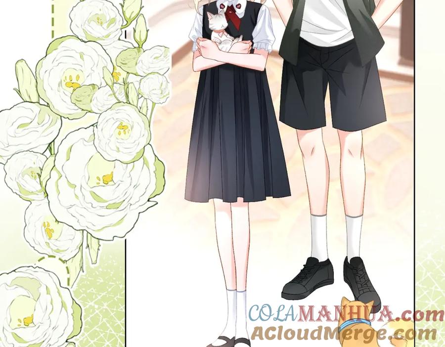 她又又又上热搜啦 第63话 猫狗双全 第5页