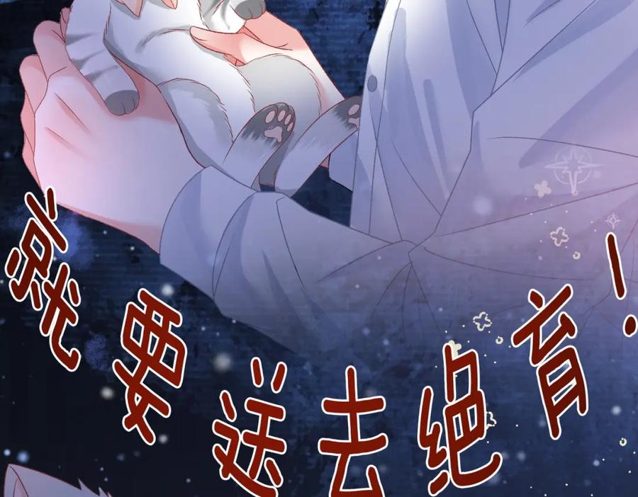 她又又又上热搜啦 第63话 猫狗双全 第50页