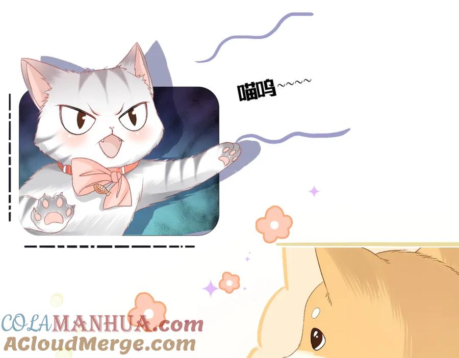 她又又又上热搜啦 第63话 猫狗双全 第17页