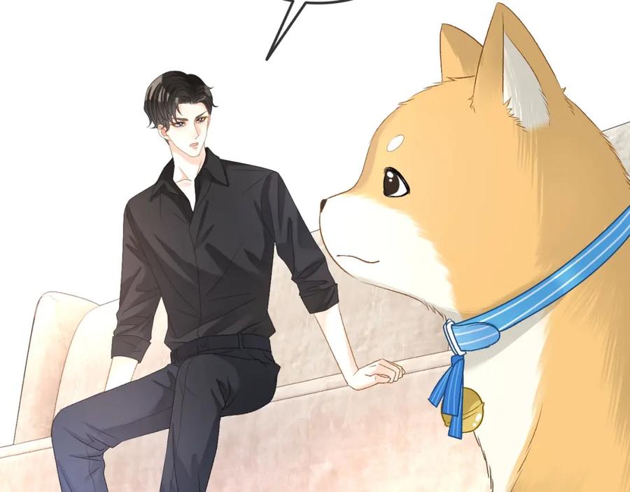她又又又上热搜啦 第63话 猫狗双全 第11页